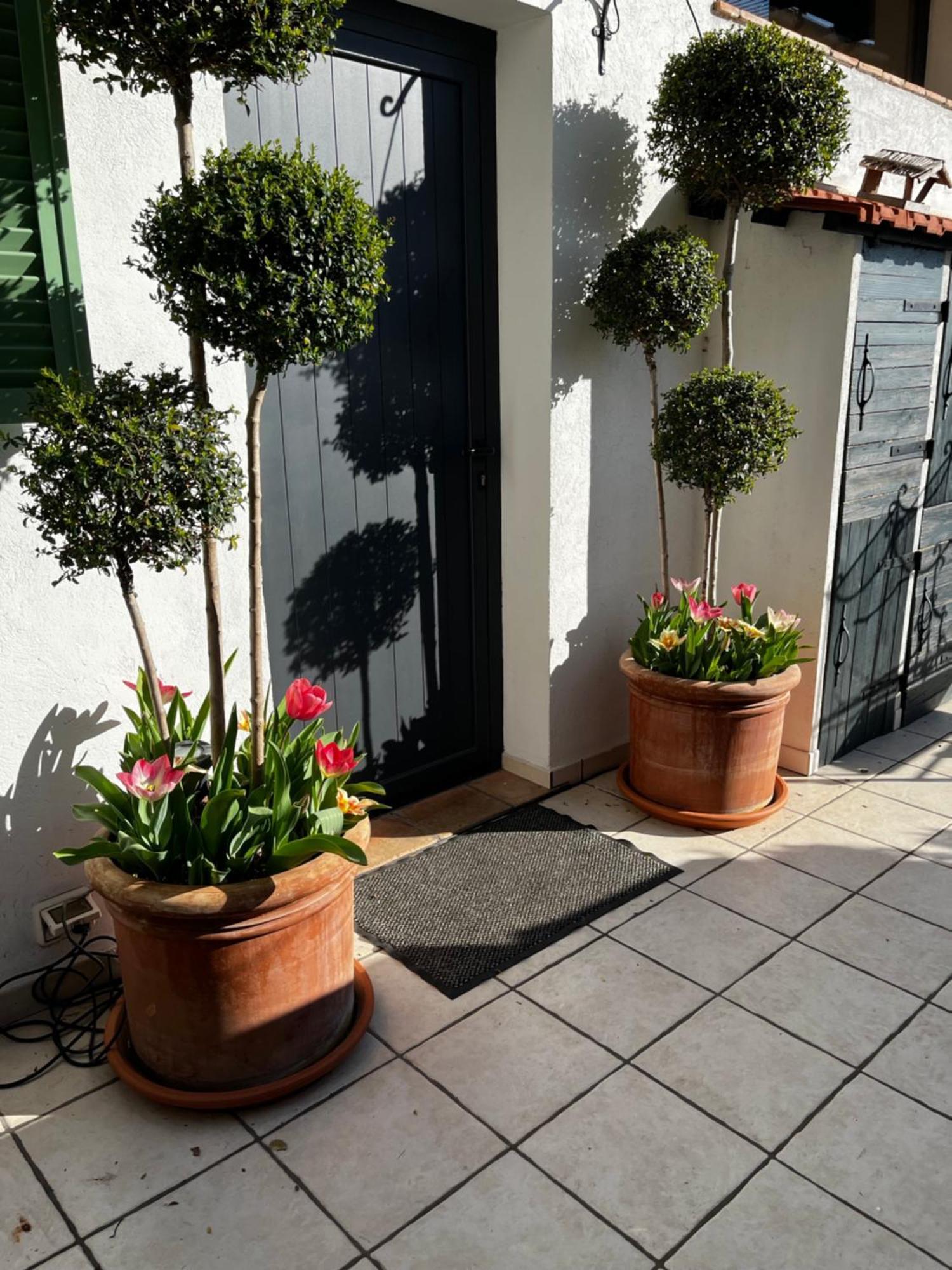 Skylark Bed & Breakfast Grasse Kültér fotó