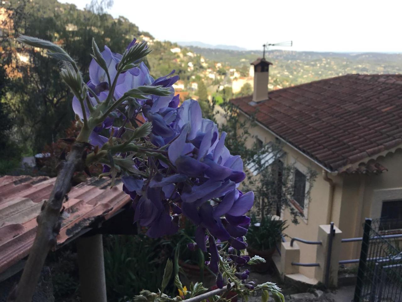 Skylark Bed & Breakfast Grasse Kültér fotó