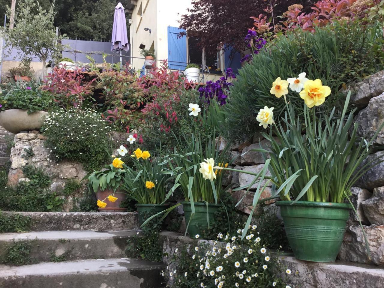 Skylark Bed & Breakfast Grasse Kültér fotó