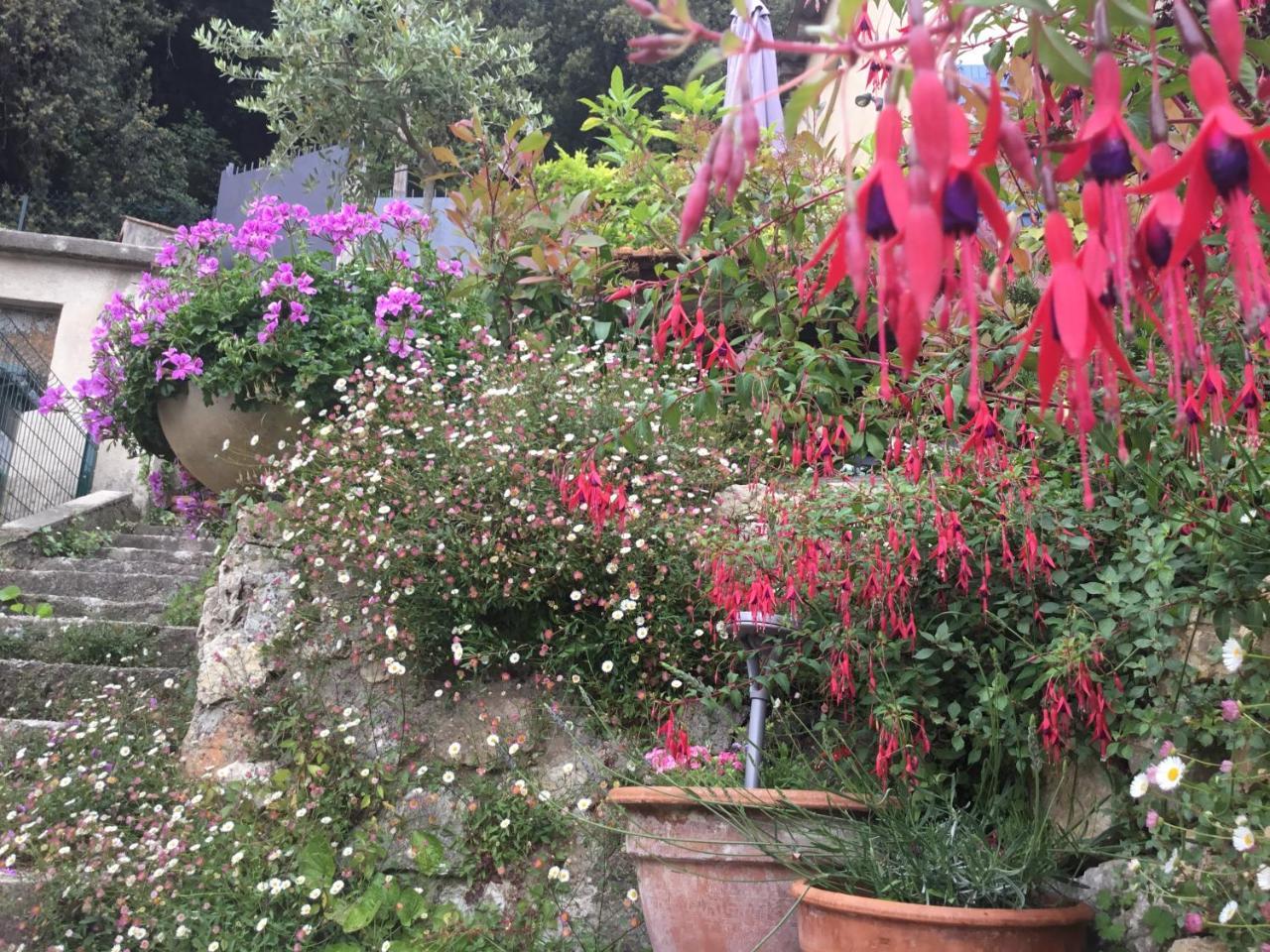 Skylark Bed & Breakfast Grasse Kültér fotó