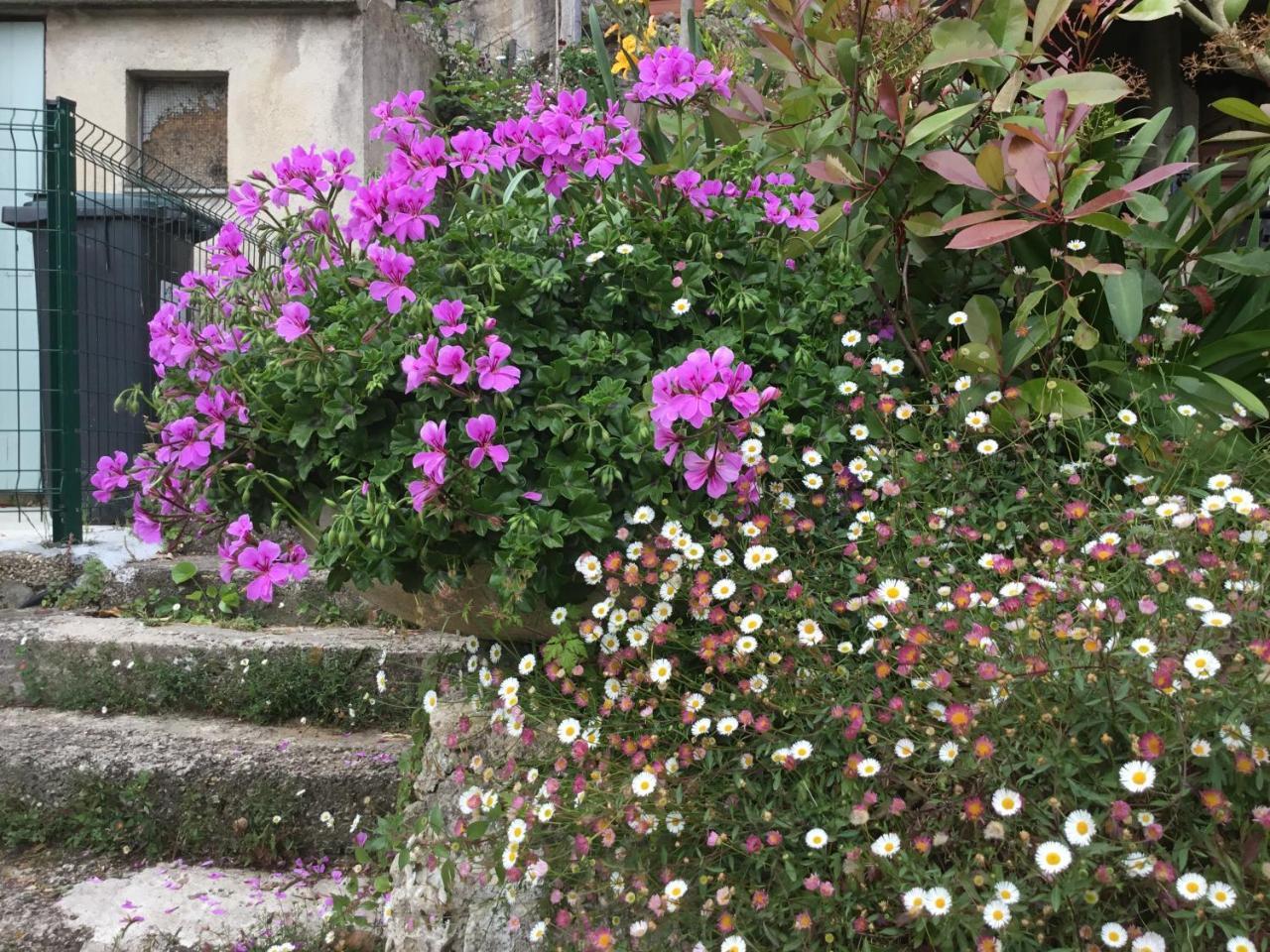 Skylark Bed & Breakfast Grasse Kültér fotó